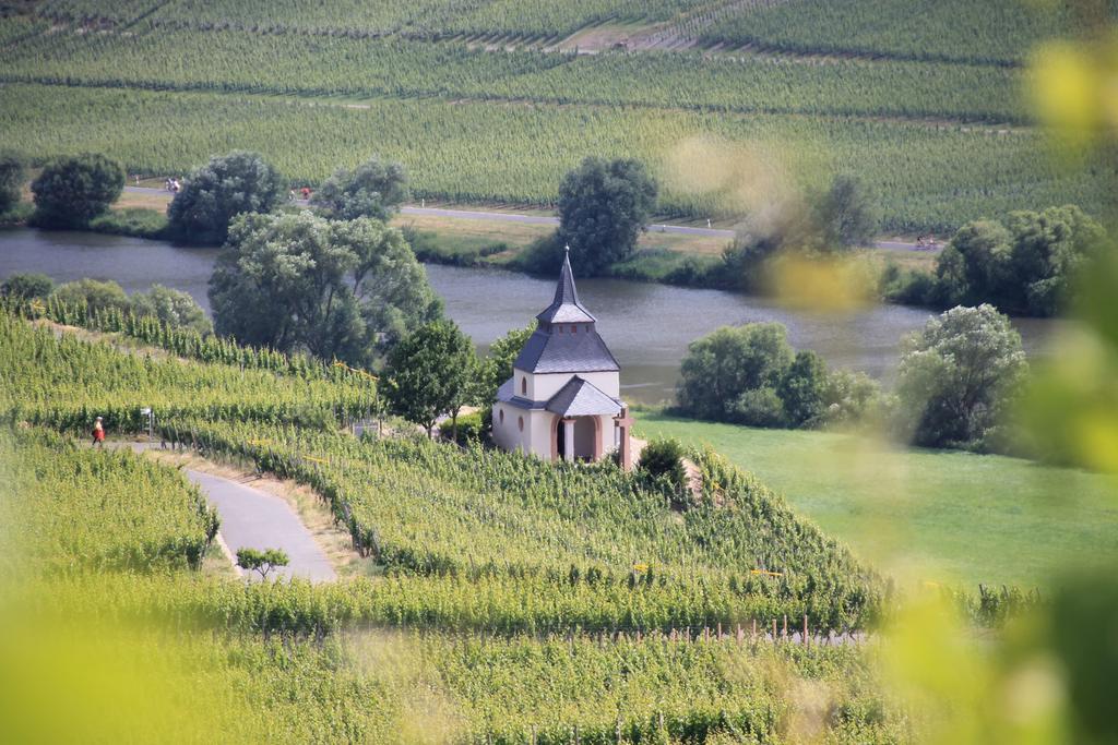 Wein & Gastehaus Hermeshof Ξενοδοχείο Trittenheim Εξωτερικό φωτογραφία