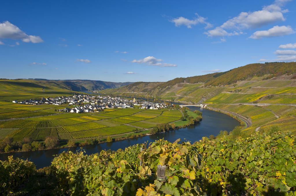 Wein & Gastehaus Hermeshof Ξενοδοχείο Trittenheim Εξωτερικό φωτογραφία