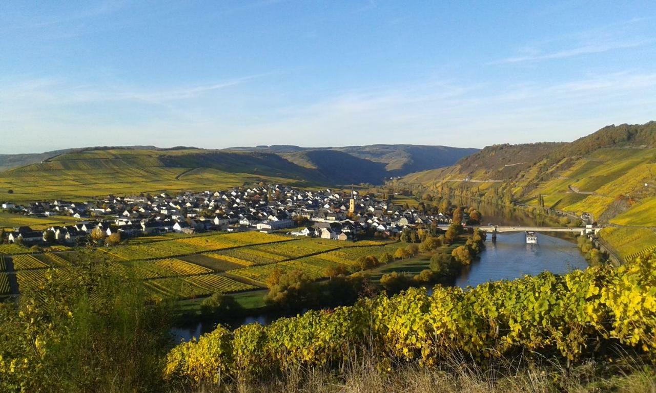 Wein & Gastehaus Hermeshof Ξενοδοχείο Trittenheim Εξωτερικό φωτογραφία