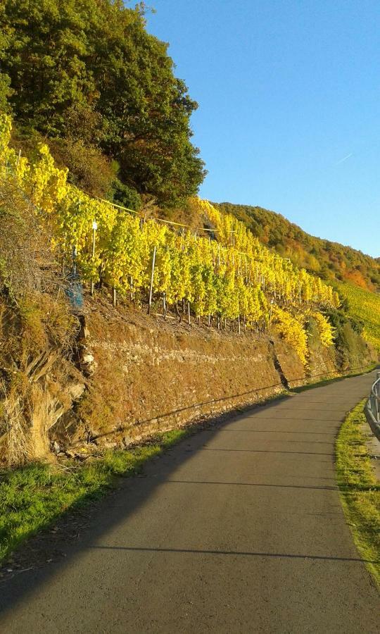 Wein & Gastehaus Hermeshof Ξενοδοχείο Trittenheim Εξωτερικό φωτογραφία