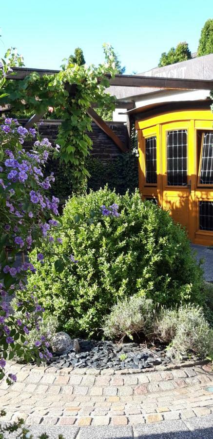 Wein & Gastehaus Hermeshof Ξενοδοχείο Trittenheim Εξωτερικό φωτογραφία